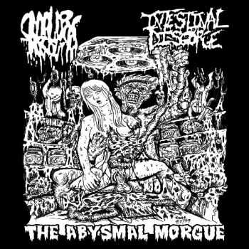 Intestinal Disgorge & Smallpox Aroma - The Abysmal Morgue (Split CD) (2012)