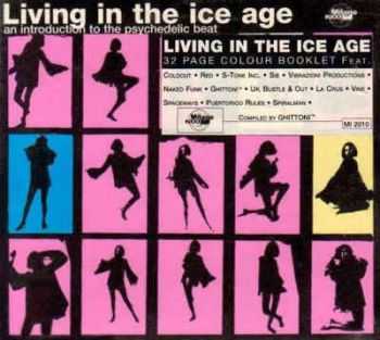 VA - Living In The Ice Age Vol. 1 (2002)