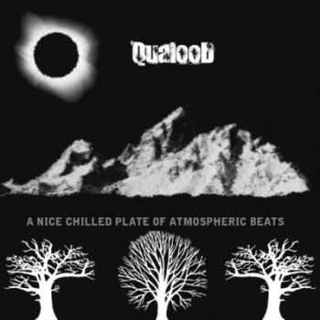 Qualood - A Nice Chilled Plate of Atmospheric Beats (02.03.2012)