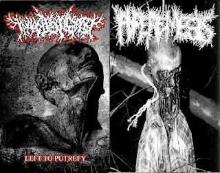 Hyperemesis / Thanatopsis [Split] (2012)