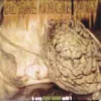 Intestinal Disgorge / Nefarious Baptism / Cadaver Ecogenics / Your Days Are Counted / Helinous Sodomy - Bizarre Morgue Party [Split] (2006)