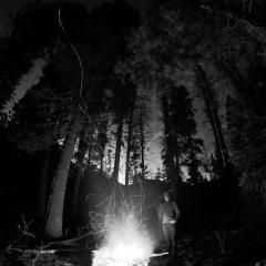 Evergreen Refuge - Immersed (2012) Evergreen Refuge - Immersed (2012)