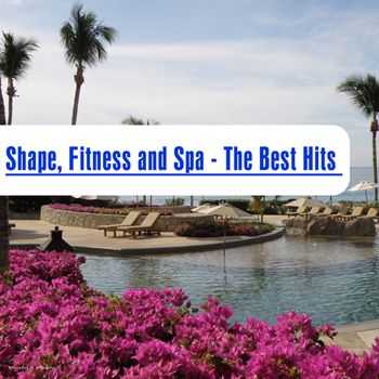 Shape Fitness And Spa The Best Hits (2012)