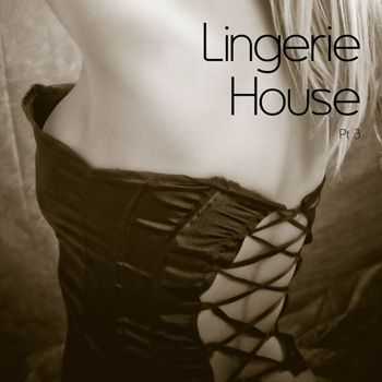 Lingerie House Vol 3 (2012)