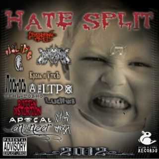 VA - HATE SPLIT (2012)