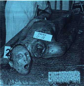 Vomitcarnivale  Enterorhagia [Split] (2012)