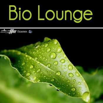 VA - Bio Lounge (2012)