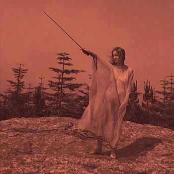 Unknown Mortal Orchestra - II (2012)