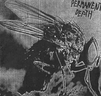 Permanenr Death / Headcrash - Untitled / The Dirt In My Hands [Split] (2004)