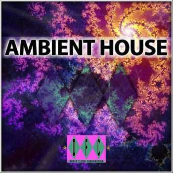 VA - The Original Ambient House Experience (2011)