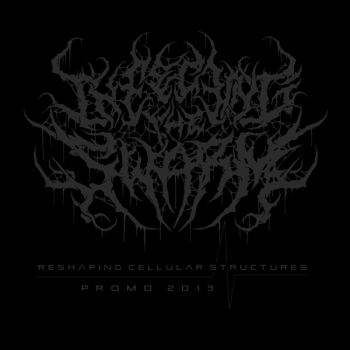 Infecting The Swarm - Reshaping Cellular Structures (Demo) (2013)