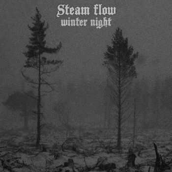 Steam flow - Winter Night (2013)