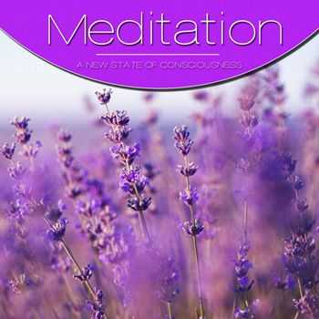 VA - Meditation Vol. Purple (2012)