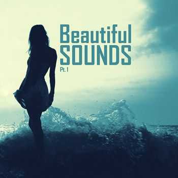 VA - Beautiful Sounds Pt. 1 (2011)