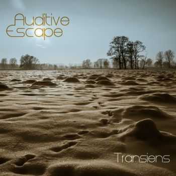 Auditive Escape - Transiens (2013)