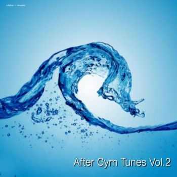 VA - After Gym Tunes Vol. 2 (2013) flac,mp3