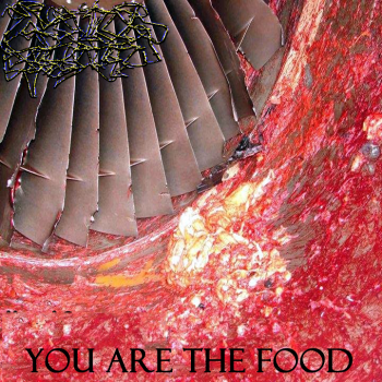 Acidic Disgorge - You Are The Food (2011)