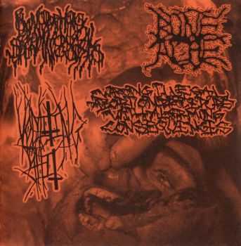 Blenorrhagical Spermatocystitis & Vomiting Shit & BoneAche & WxIxAxPxWxAxCx - 4-Way Split (2011)