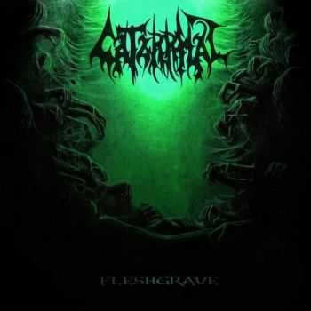 Catarrhal  - Fleshgrave (2013)