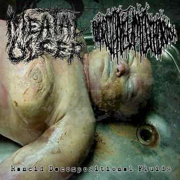 Meatal Ulcer & Hydropneumothorax - Rancid Decompositional Fluids (Split) (2013)