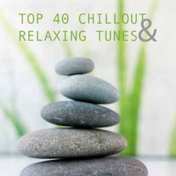 VA - Top 40 Chillout & Relaxing Tunes (2013)