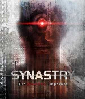 Synastry - Our Memetic Imprints (2012)