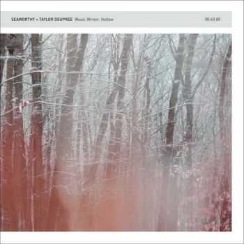 Seaworthy & Taylor Deupree - Wood Winter Hollow (2013)