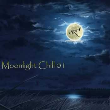 VA - Moonlight Chill 01 (2013)