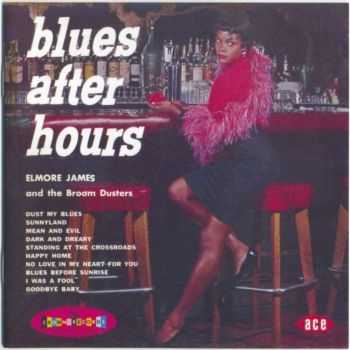 Elmore James - Blues After Hours (2005) HQ