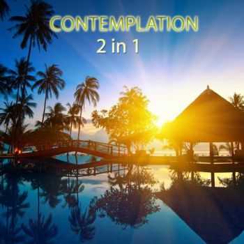 VA - Contemplation 2 in 1 (2013)