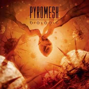 Pyromesh  - Biologic  (2013)