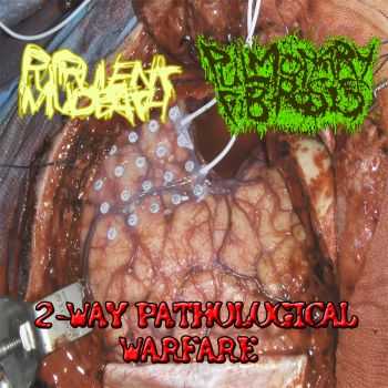 Purulent Mudbath & Pulmonary Fibrosis - 2 Way Pathological Warfare (Split) (2013)