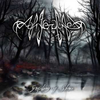 Afterlife - Symphony Of Silence (2013)