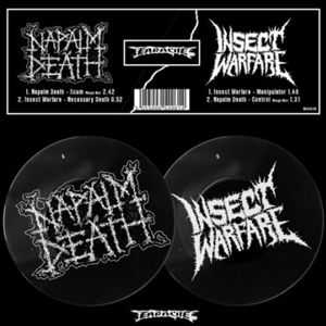 Napalm Death & Insect Warfare - Split (2013)