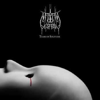 Afraid Of Destiny - Tears Of Solitude (2013)