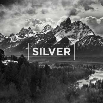 The Neighbourhood - Silver (Single) (2013)