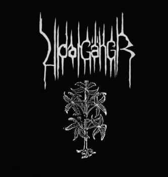 Vidarg&#228;ngr - Vidarg&#228;ngr (2013)