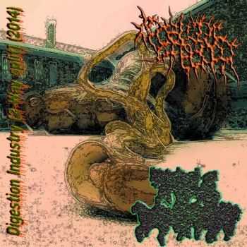 Triple Dewormint / The Castrull Of Borsch - Digestion Industry [2-way split] (2014)