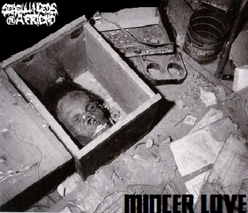 SEAGULLNEEDSAFRIEND - MINCER LOVE EP (2014)