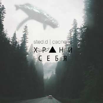sted.d -  EP (2014)