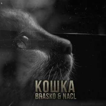 Brasko & NaCl - Кошка (2014) Brasko & NaCl - Кошка (2014)