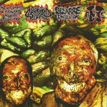 Disgorgement of Intestinal Lymphatic Suppuration & Subarachnoid Separation & Bizarre Ejaculation & Anal Supersonic Sex - 4 Way Split (2011)