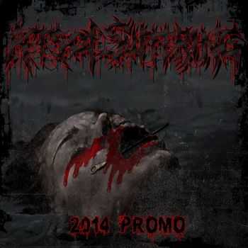 Acts of Suffering - Promo (2014)