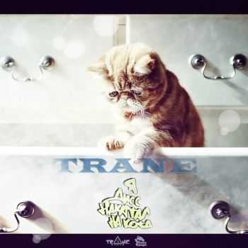 Trane       (2014)