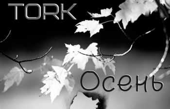 Tork -  (2014)