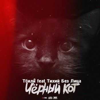 Тбили Тёплый, Тихий Без Лица - Черный Кот (2014) Тбили Тёплый, Тихий Без Лица - Черный Кот (2014)