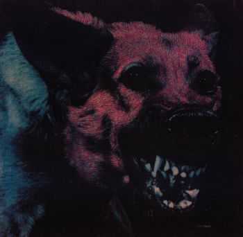 Protomartyr - Under Color Of Official Right (2014)   