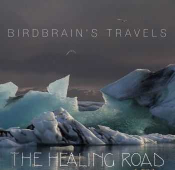 The Healing Road - Birdbrain's Travels (2014)