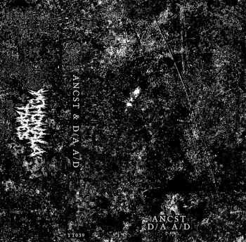 ANCST & D/&#8203;&#8203;A A/&#8203;&#8203;D - split (2014)