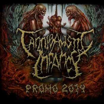 Cannibalistic Infancy - Promo 2014 (Promo) (2014)